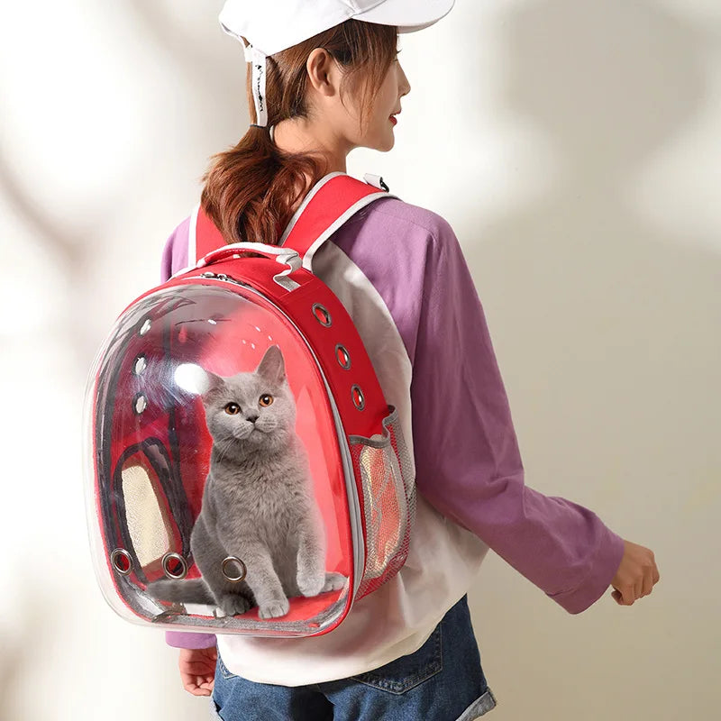 Mochila de Transporte para Gatos - Cat Carrier 🔥